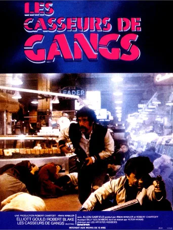Regarder Les Casseurs De Gangs en streaming complet