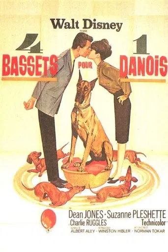 Regarder 4 bassets pour un danois en streaming complet