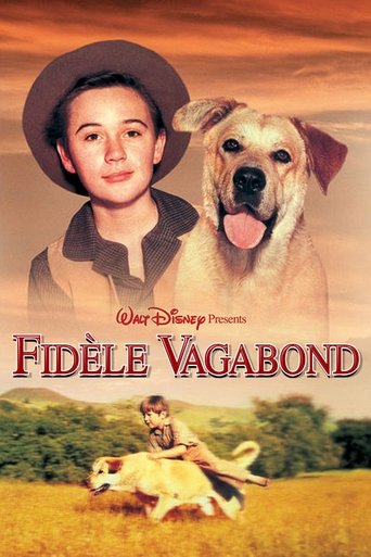 Regarder Fidèle vagabond en streaming complet