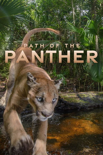 Regarder Path of the Panther en streaming complet