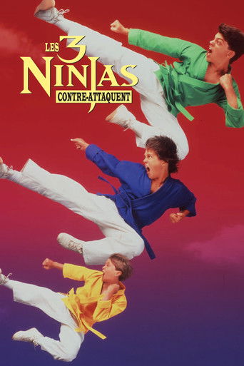 Regarder Ninja Kids 2 : Les 3 Ninjas contre-attaquent en streaming complet