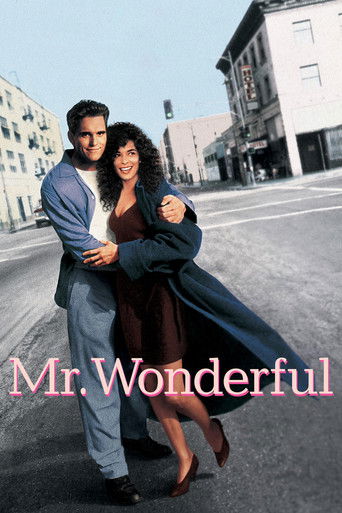 Regarder Mr. Wonderful en streaming complet