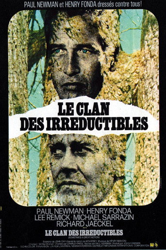 Regarder Le Clan des irréductibles en streaming complet