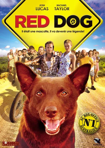 Regarder Red Dog en streaming complet