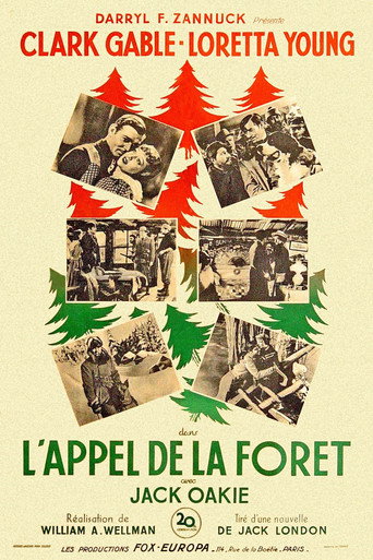 Regarder L'Appel de la forêt en streaming complet