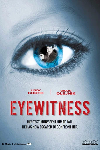 Regarder Faux coupable en streaming complet