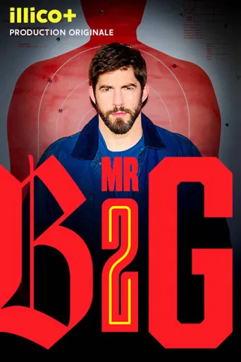 Regarder Mr Big en streaming complet