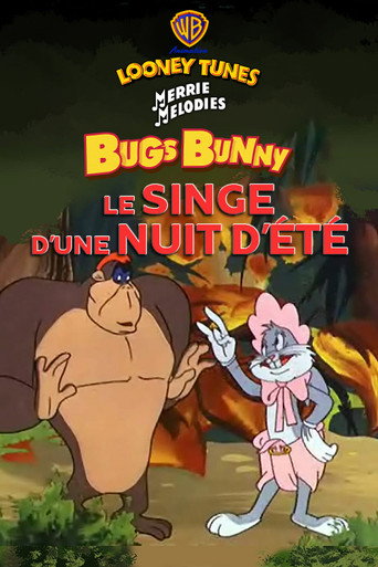 Regarder Le Singe d'une nuit d'été en streaming complet