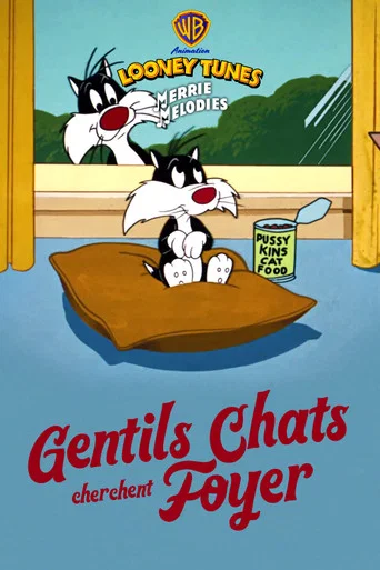 Regarder Gentils chats cherchent foyer en streaming complet