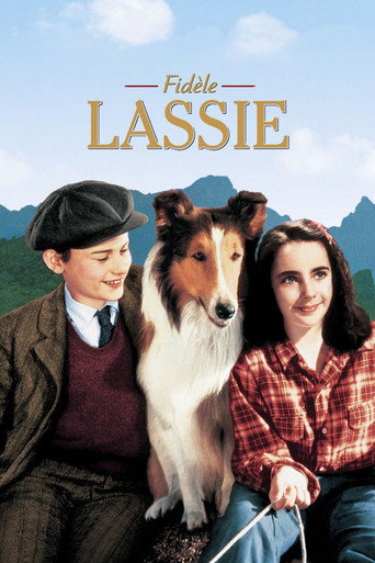 Regarder Fidèle Lassie en streaming complet