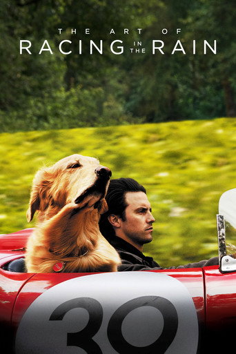 Regarder The Art of Racing in the Rain en streaming complet