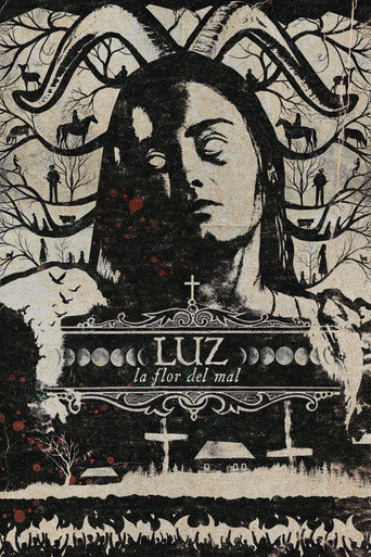 Regarder Luz: The Flower of Evil en streaming complet