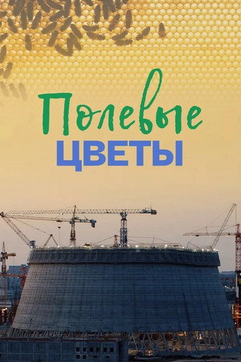 Regarder Полевые цветы en streaming complet