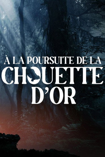 Regarder À la poursuite de la chouette d'or en streaming complet