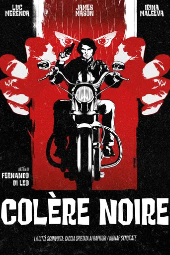Regarder Colère noire en streaming complet