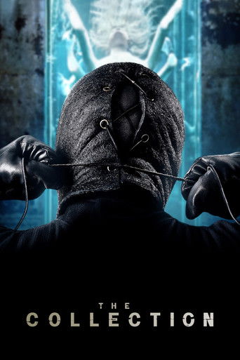 Regarder The Collection en streaming complet