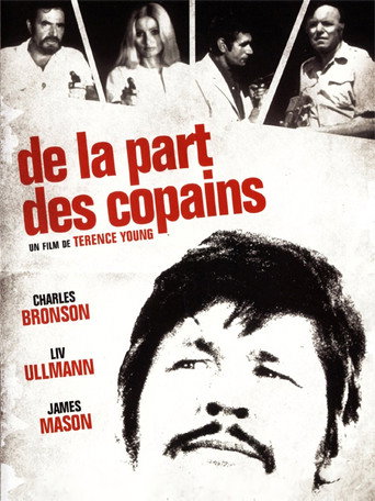 Regarder De la part des copains en streaming complet