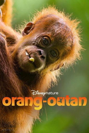 Regarder Orang-outan en streaming complet
