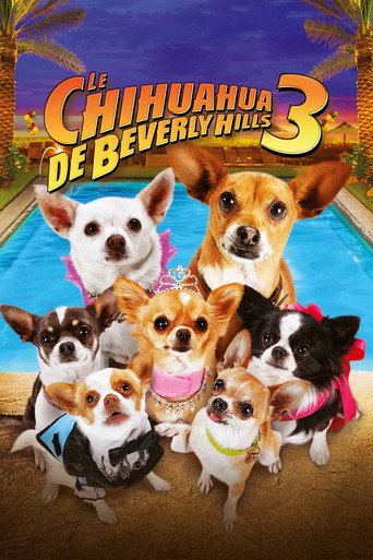 Regarder Le Chihuahua de Beverly Hills 3 : Viva la Fiesta ! en streaming complet