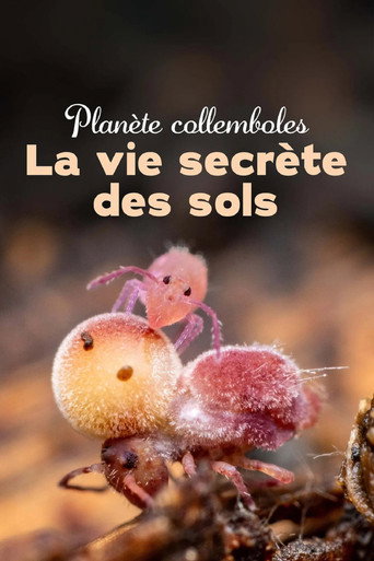 Regarder Planète collemboles : la vie secrète des sols en streaming complet