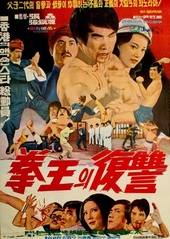 Regarder 盲拳 en streaming complet
