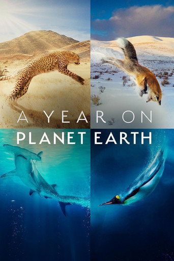 Regarder A Year on Planet Earth en streaming complet