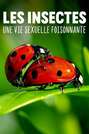 Regarder Les insectes, une vie sexuelle foisonnante en streaming complet